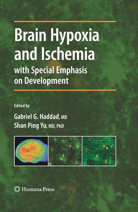 Brain Hypoxia and Ischemia