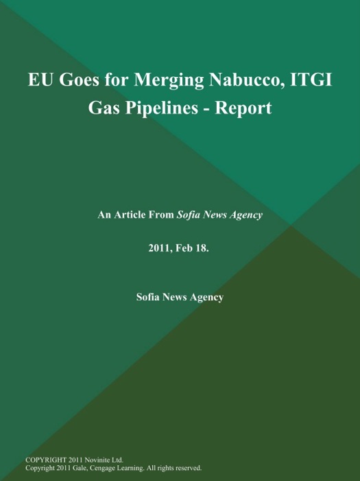 EU Goes for Merging Nabucco, ITGI Gas Pipelines - Report