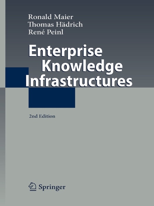 Enterprise Knowledge Infrastructures