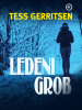 Ledeni Grob - Tess Gerritsen