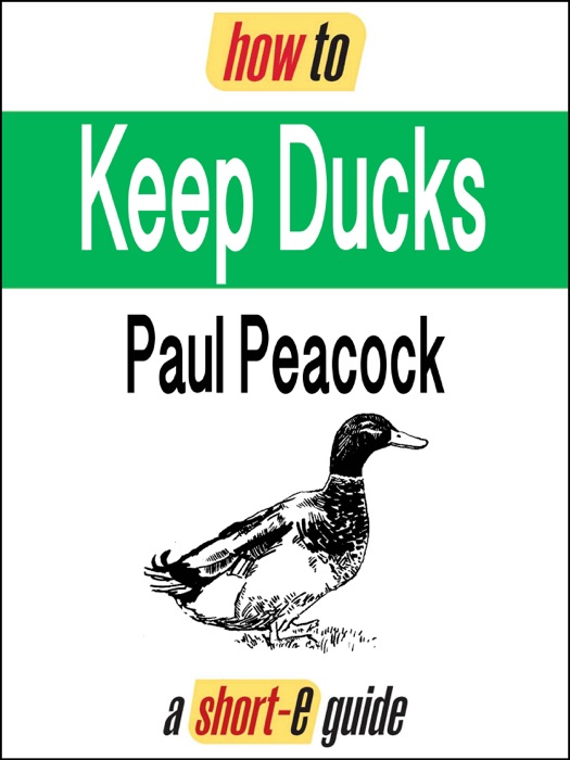 How to Keep Ducks (Short-e Guide)