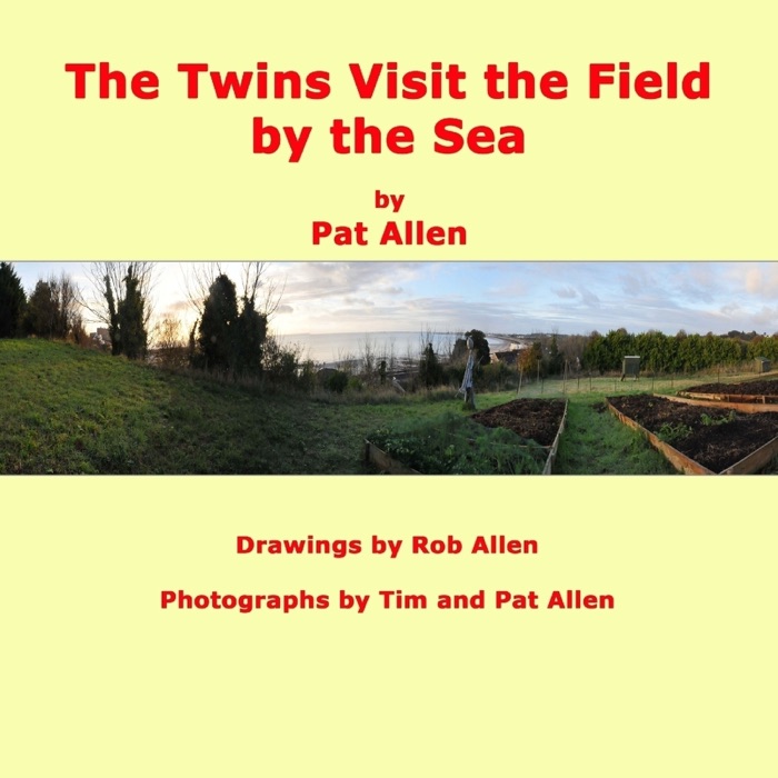 The Twins Visit The Field By The Sea