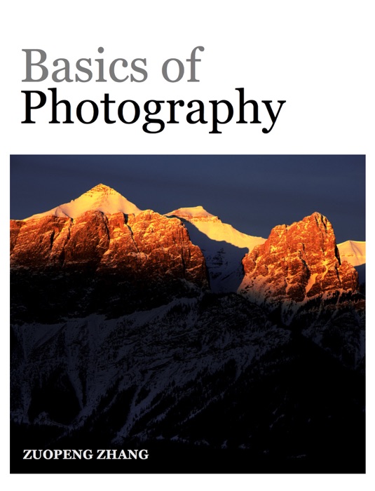 Basics of Photography