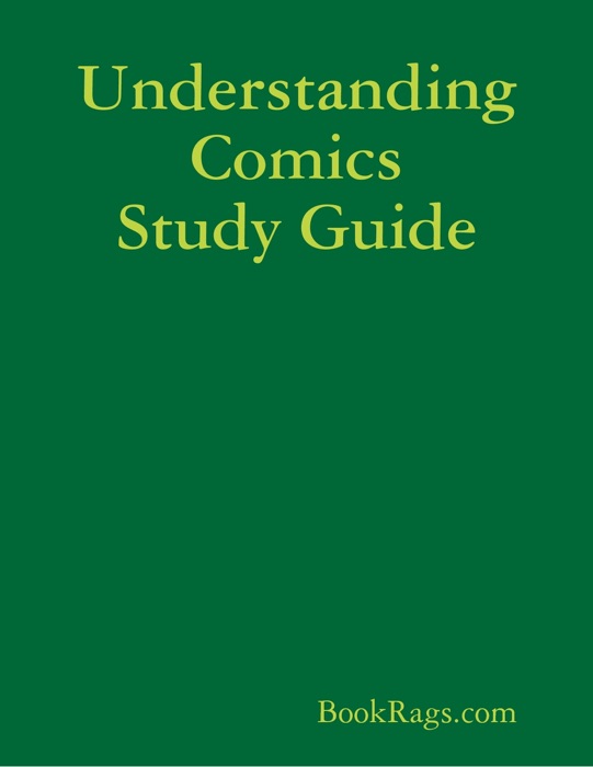 Understanding Comics Study Guide