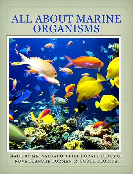 All About Marine Organisms