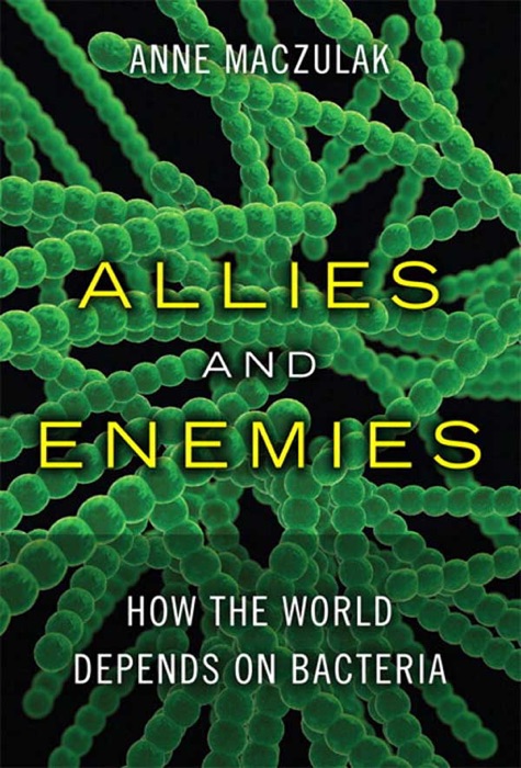 Allies and Enemies