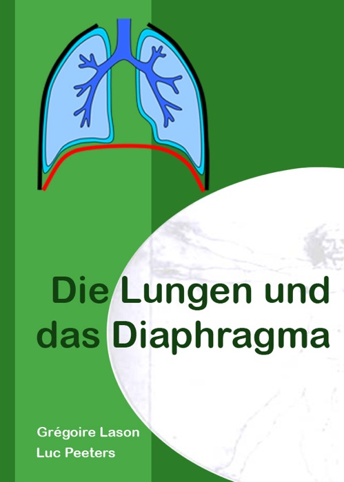 Die Lungen und das Diaphragma