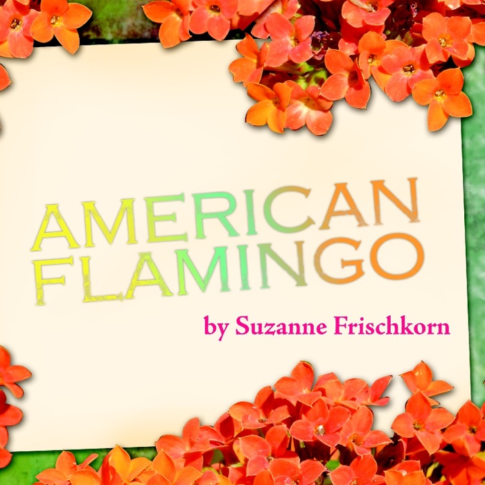 American Flamingo