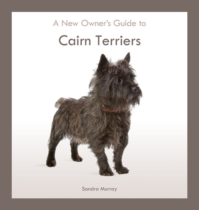 Cairn Terriers