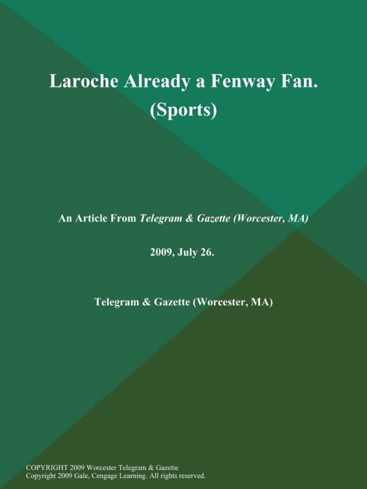 Laroche Already a Fenway Fan (Sports)