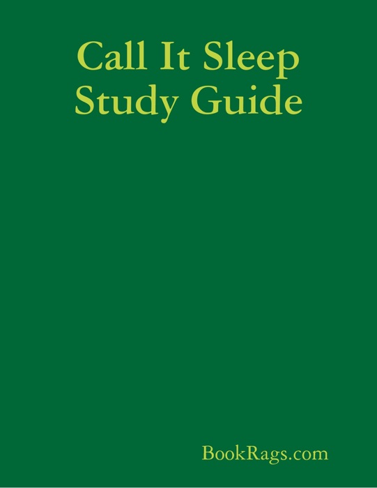Call It Sleep Study Guide