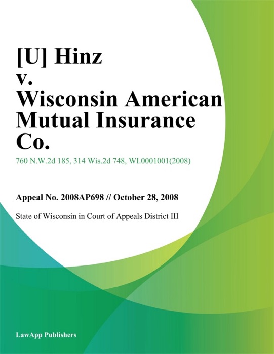 Hinz v. Wisconsin American Mutual Insurance Co.