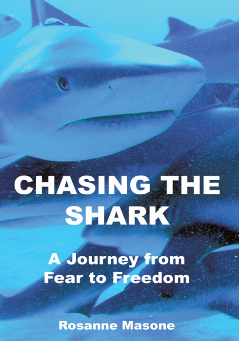 Chasing The Shark
