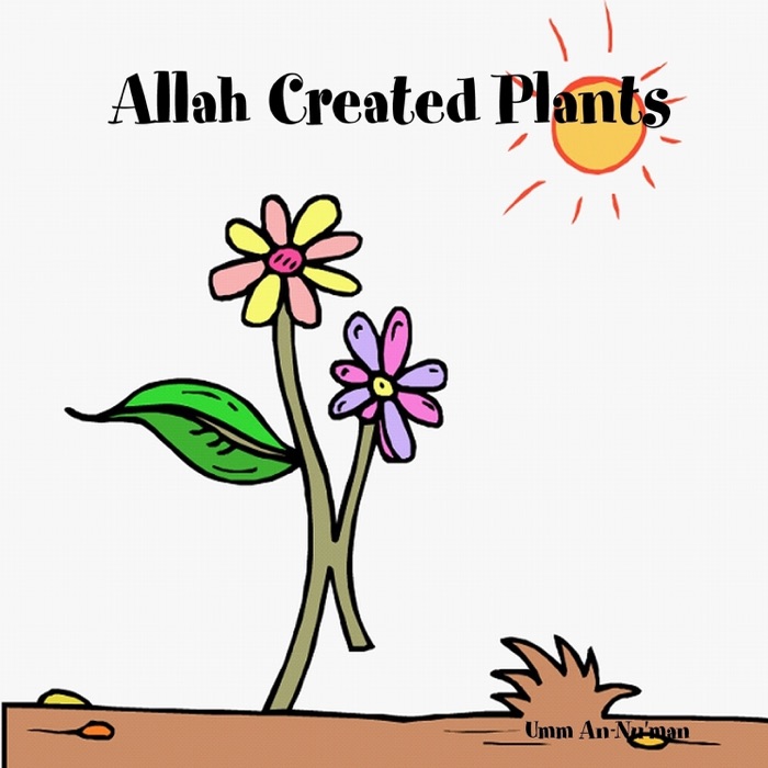 Allah Created Plants