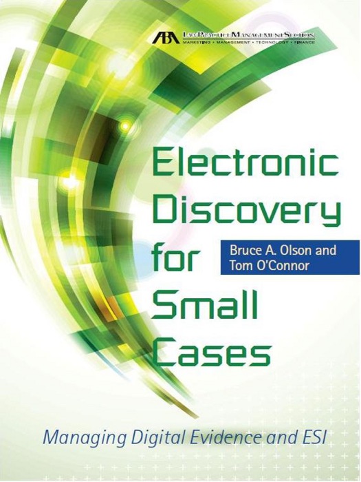 Electronic Discovery for Small Cases