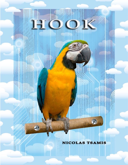 Hook