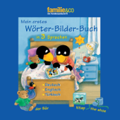 Mein erstes Wörter-Bilder-Buch in 3 Sprachen – Deutsch, Englisch, Französisch - Familie & Co