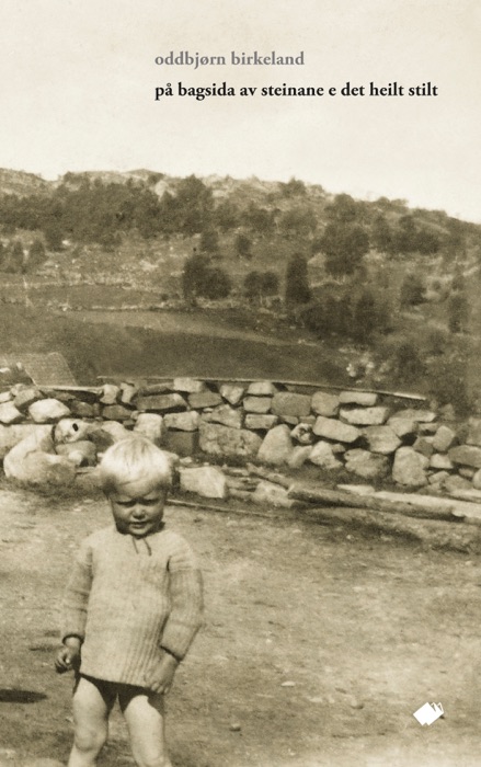 På bagsidå av steinane e det heilt stilt