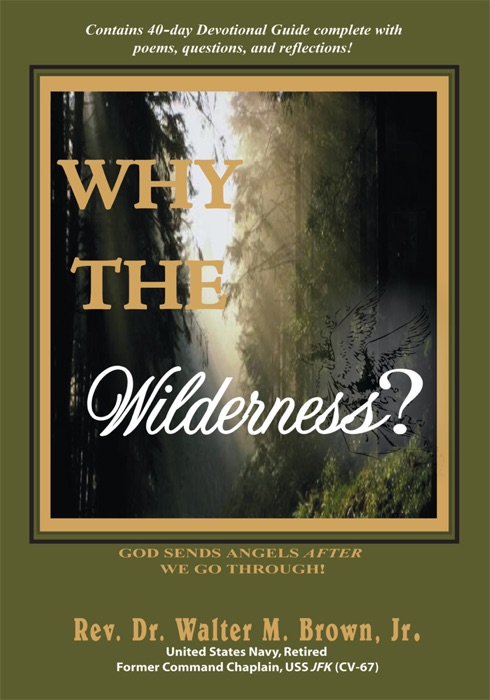 Why The Wilderness?