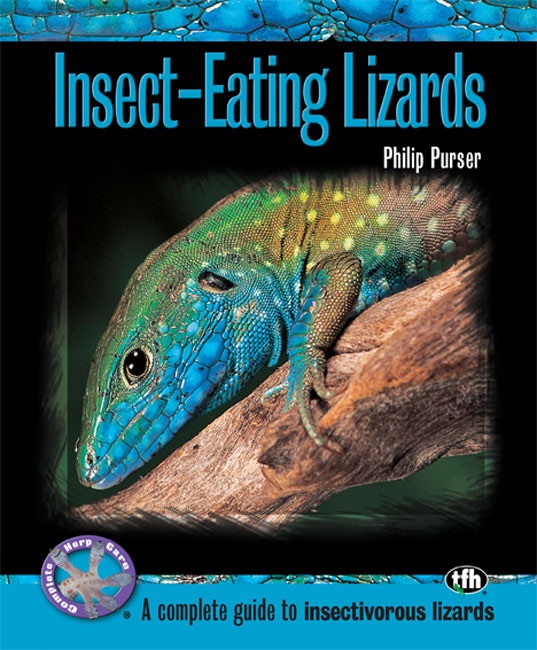 Insect-Eating Lizards