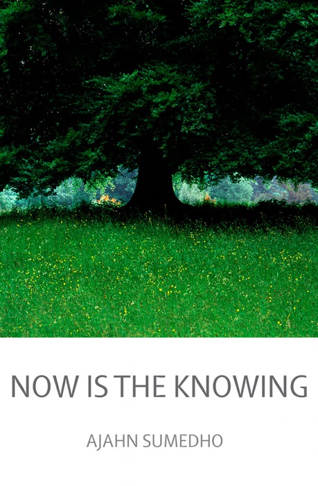 Now is the Knowing