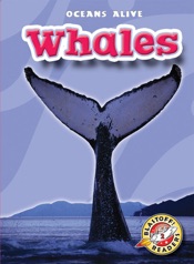 Whales