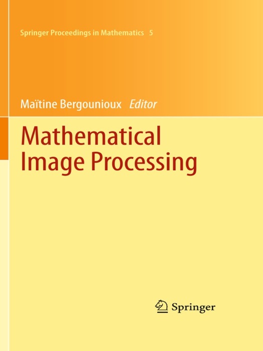 Mathematical Image Processing