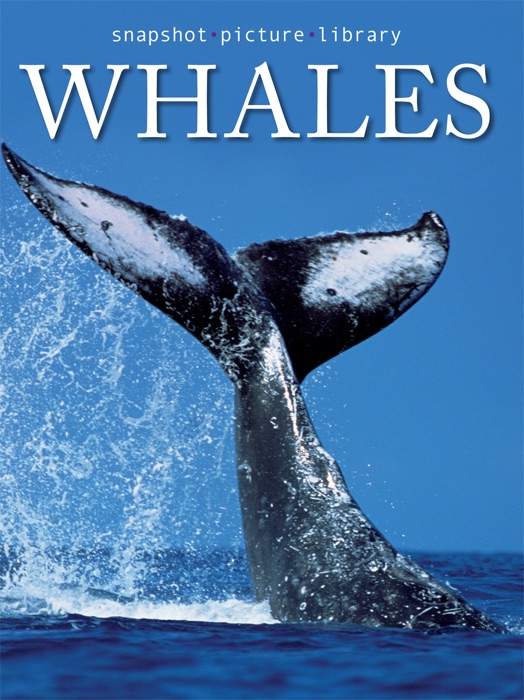 Whales