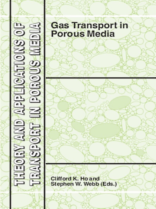 Gas Transport in Porous Media