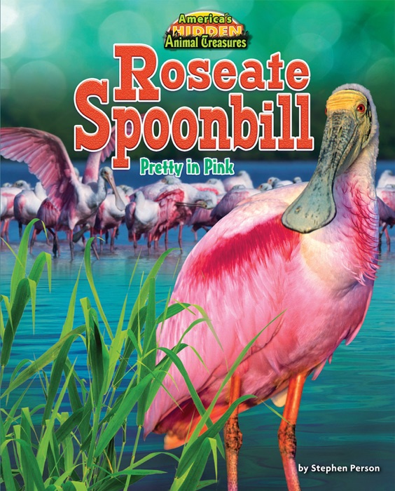 Roseate Spoonbill