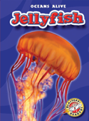 Jellyfish - Ann Herriges