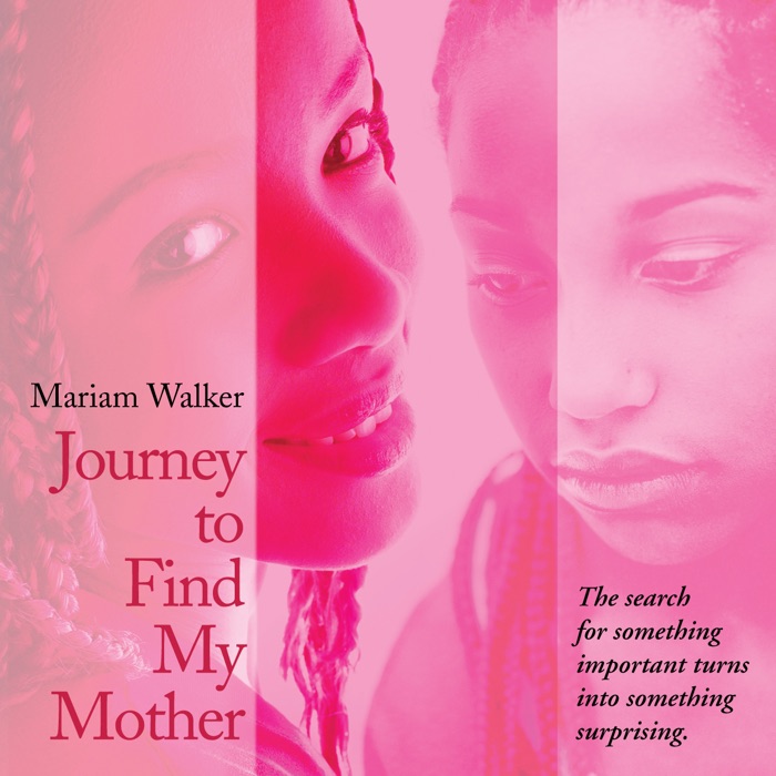 Journey to Find My Mother