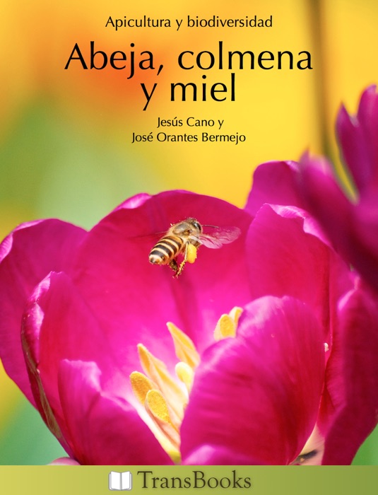 Abeja, colmena y miel