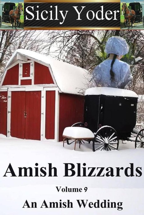 Amish Blizzards: Volume Nine