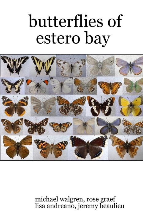 Butterflies of Estero Bay