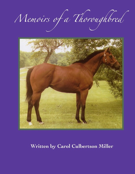 Memoirs of a Thoroughbred