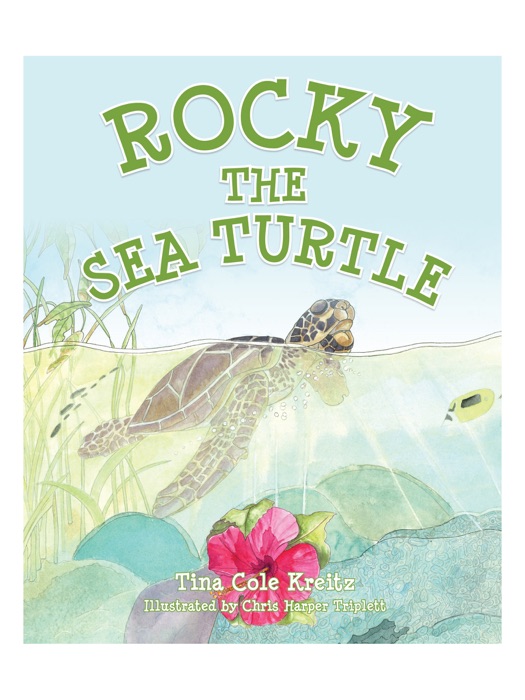 Rocky the Sea Turtle