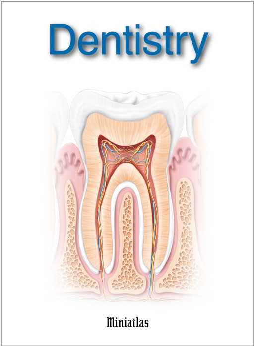 Dentistry Miniatlas
