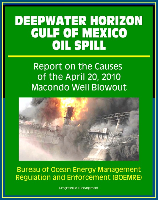 Deepwater Horizon Gulf of Mexico Oil Spill