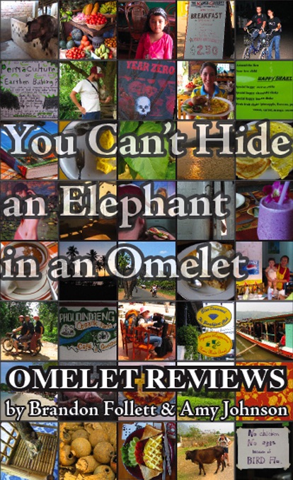 You Can’t Hide an Elephant in an Omelet