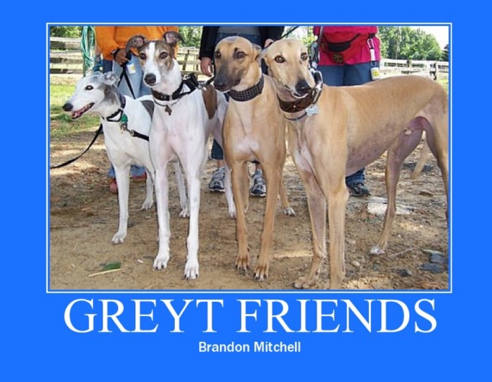 Greyt Friends