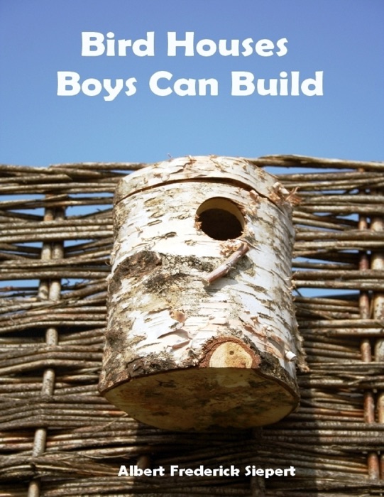 Bird Houses Boys Can Build (Illustrated)