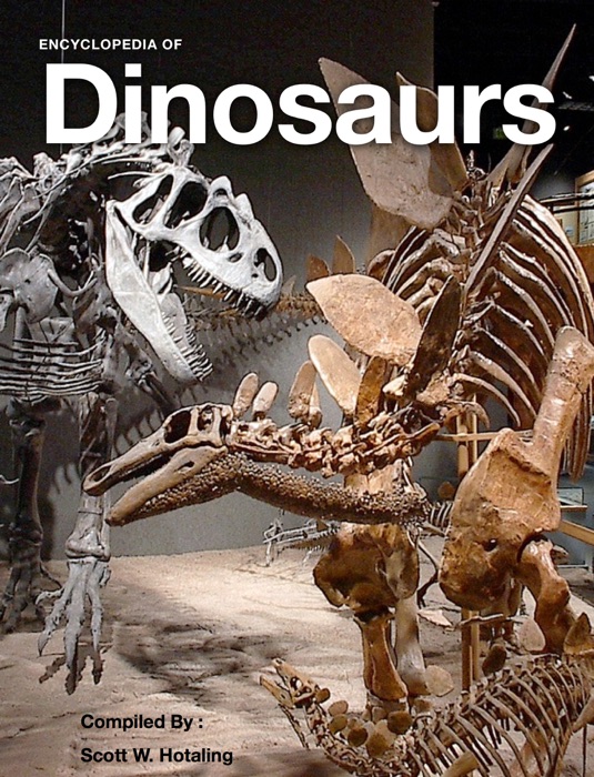 Encyclopedia of Dinosaurs
