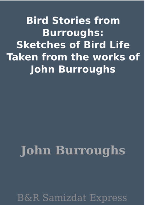 Bird Stories from Burroughs: Sketches of Bird Life Taken from the works of John Burroughs