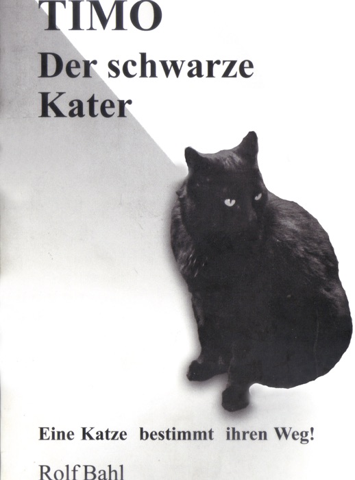 Timo der schwarze Kater