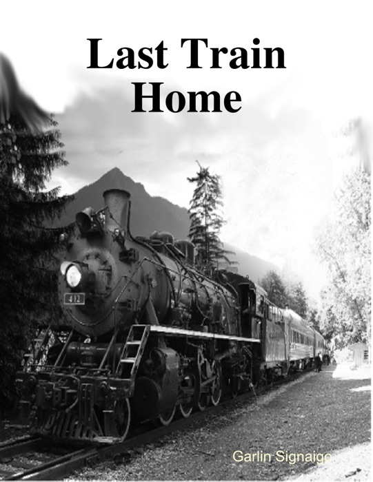 Last Train Home