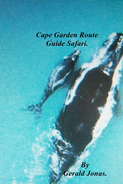 Cape Garden Route Guide Safari
