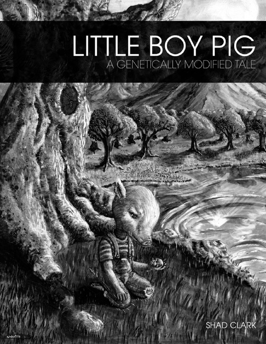 Little Boy Pig