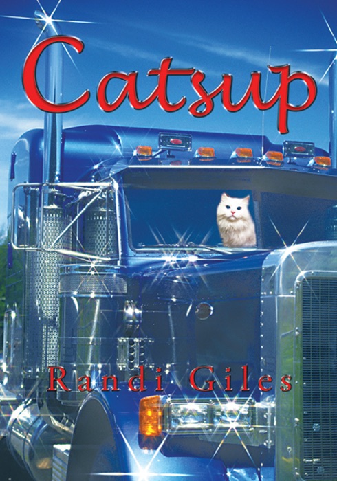 Catsup