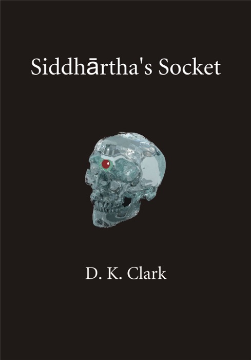 Siddhartha’s Socket